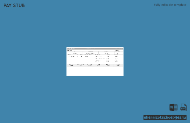 USA Abstract United Payslip Beispielvorschau